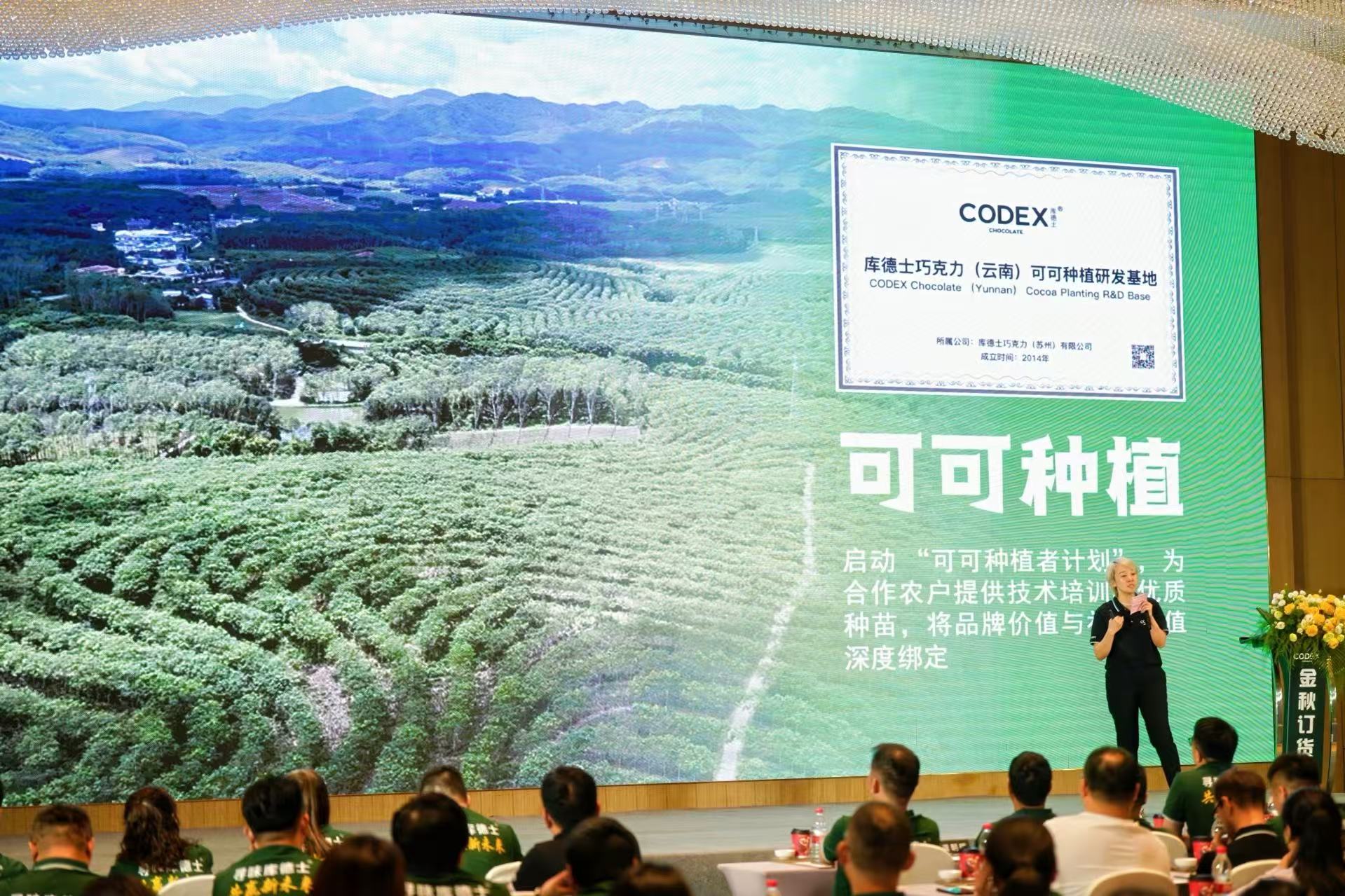 Cocoa planting presentation